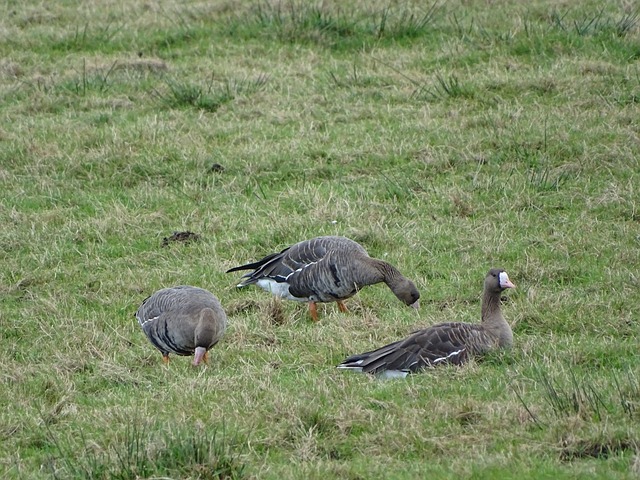 早报：作为预告的预告，世界杯抽签真的要来了