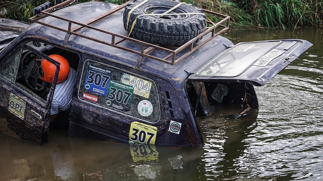 亚锦赛盛装舞步泰国主场夺魁，中国骑手独揽最高分